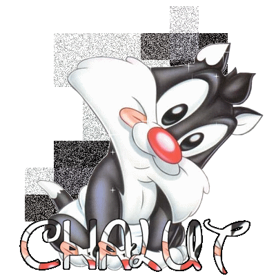 chat